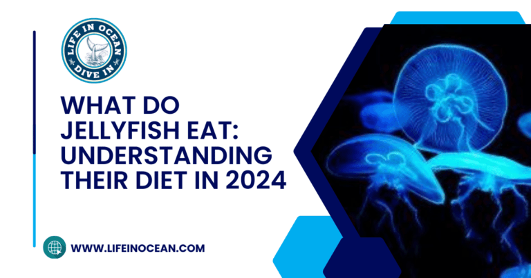 What Do Jellyfish Eat: Understanding Their Diet in 2024