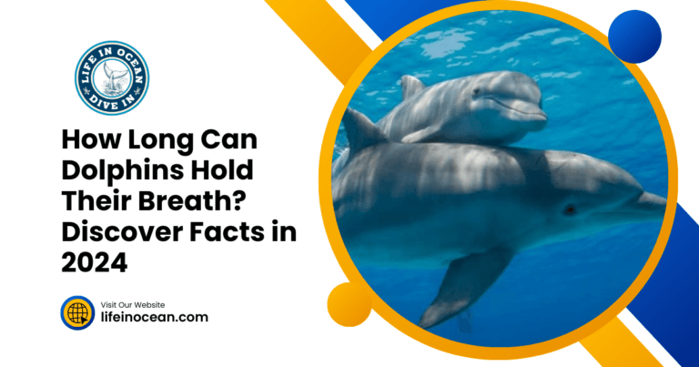 How Long Can Dolphins Hold Their Breath? Discover Facts in 2024