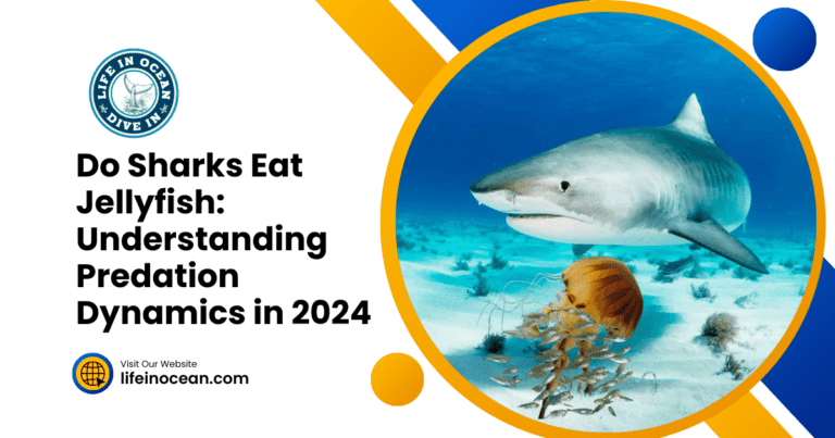 Do Sharks Eat Jellyfish: Understanding Predation Dynamics in 2024