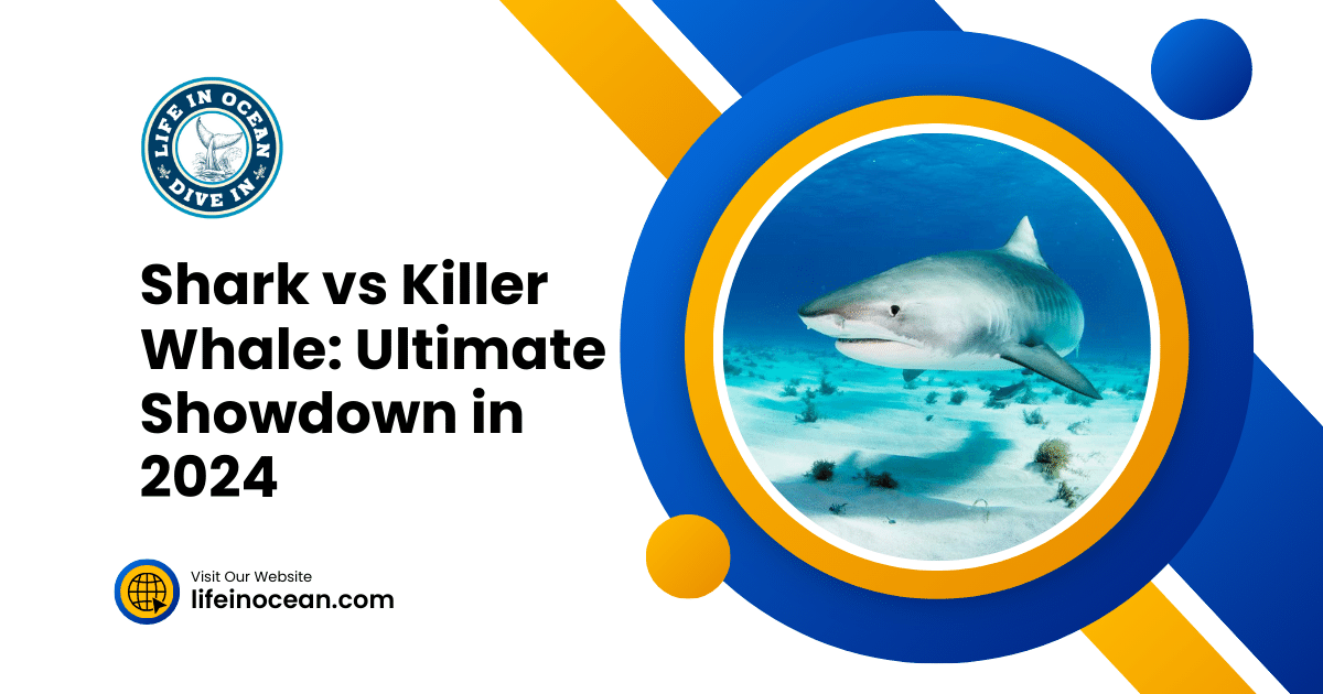 Shark vs Killer Whale: Ultimate Showdown in 2024