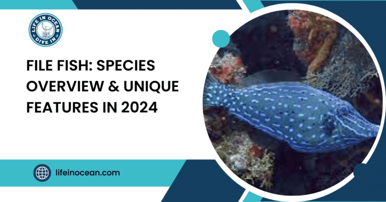 File Fish: Species Overview & Unique Features in 2024