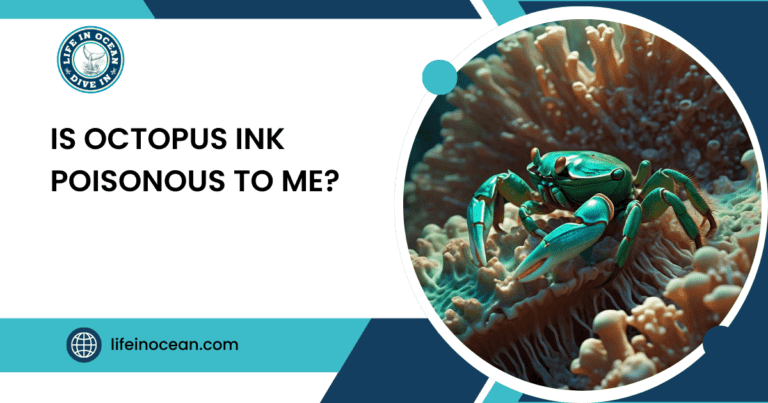 Is Octopus Ink Poisonous to Me?