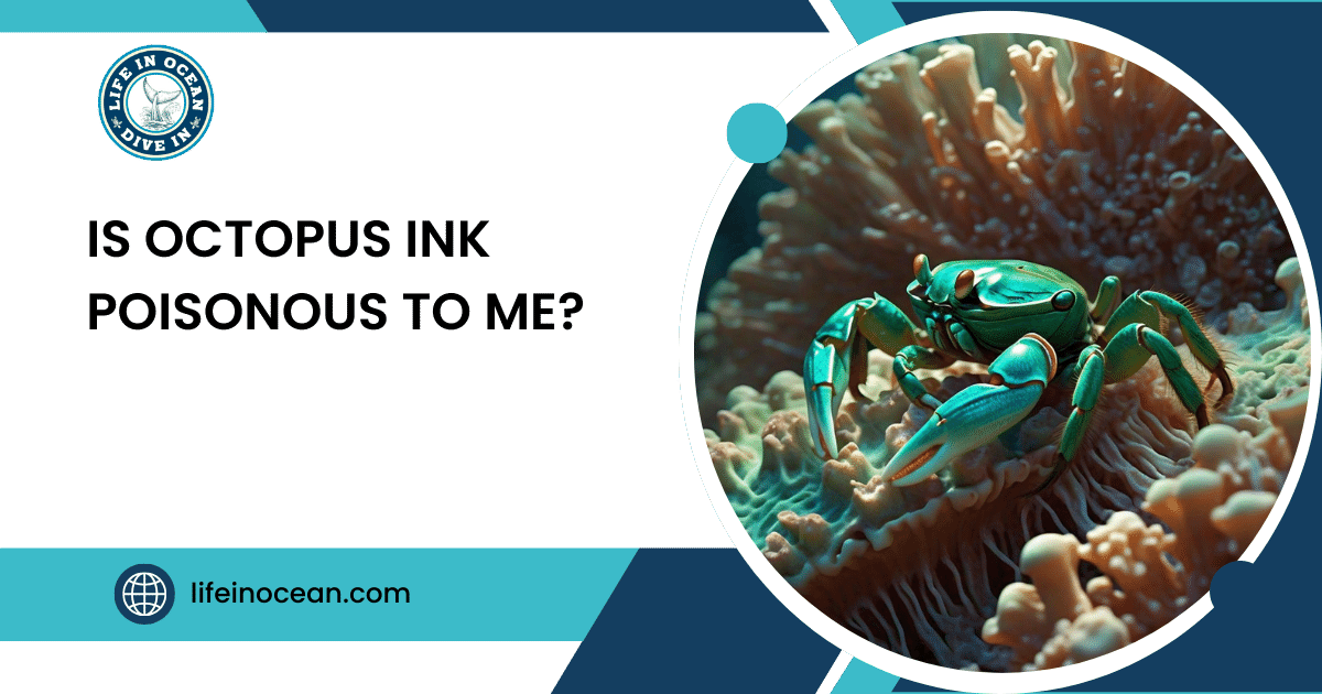 Is Octopus Ink Poisonous to Me?