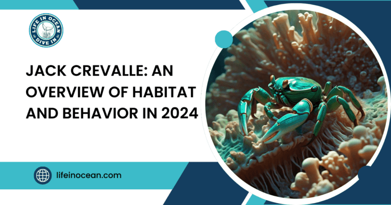 Jack Crevalle: An Overview of Habitat and Behavior in 2024