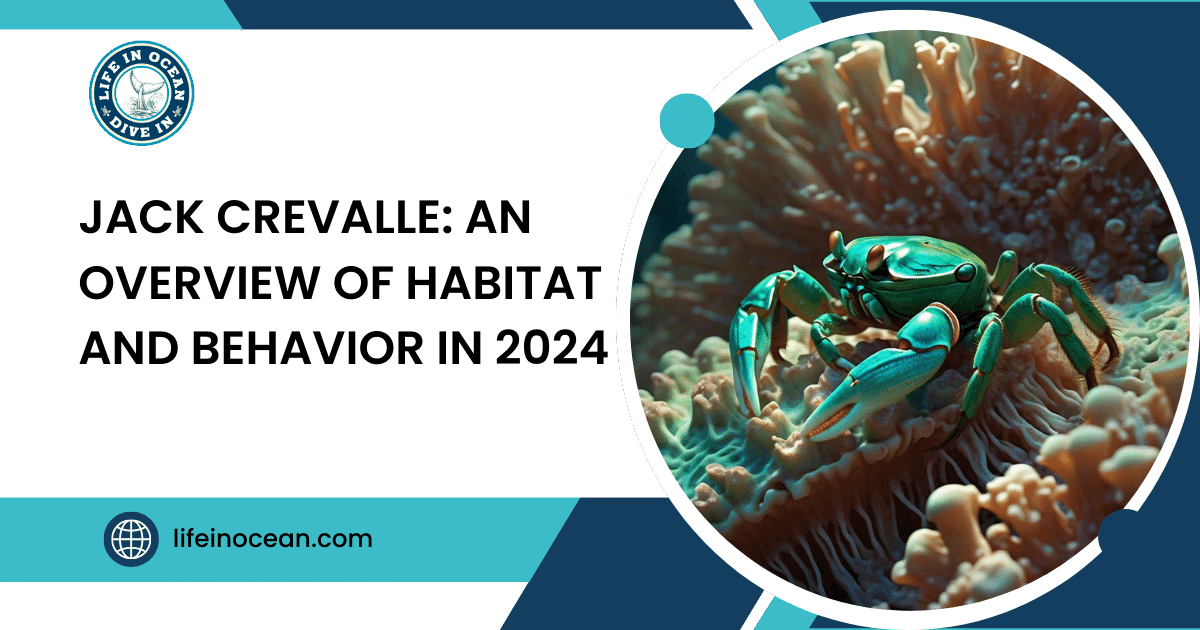 Jack Crevalle: An Overview of Habitat and Behavior in 2024